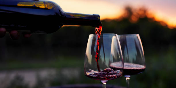 Legaris, vinos de calidad 