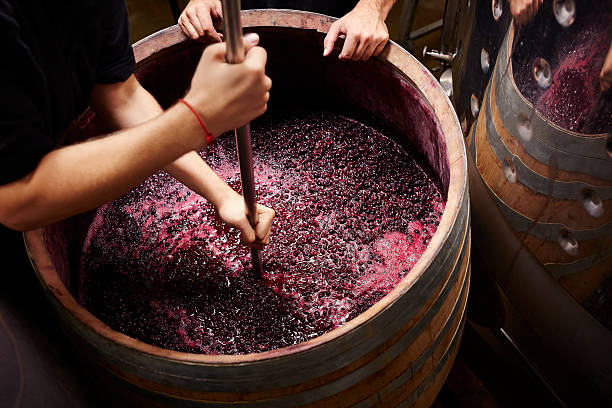 Legaris, vinos de calidad 